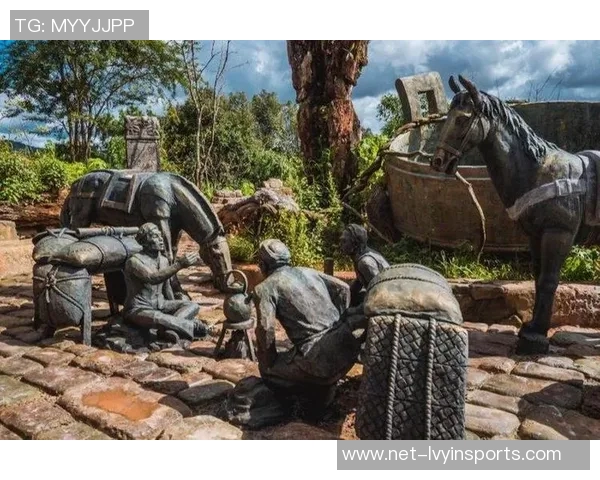 鸟巢足球场的魅力与历史探秘见证中国足球的辉煌与梦想