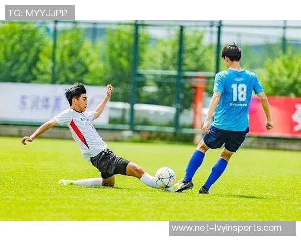 足球场顶下的激情与梦想：探索绿茵场上的无尽可能与未来希望